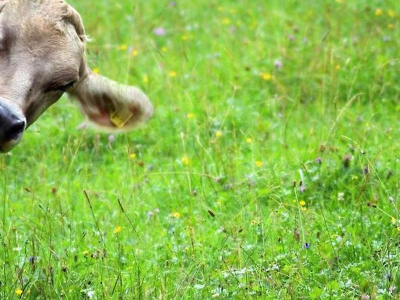 395B35AAB398B224324E00D01E17E029