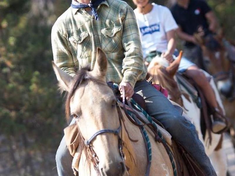 B9B33D4B1DD0665ECC5839683134C872