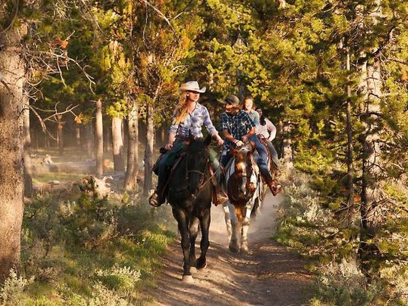 F86D79DDEA8CCA70AB1E9B00ED127173