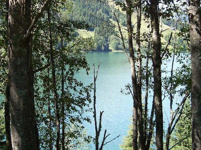 F226500C3DC521BDB9B61AED8DE44B47