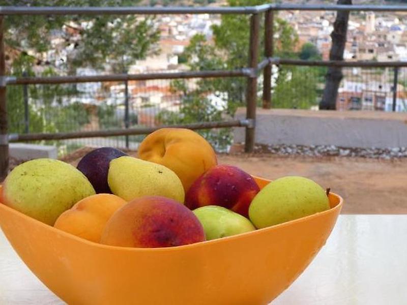 F51F2DEED4EF1C3F5BAB7286198F2C2B