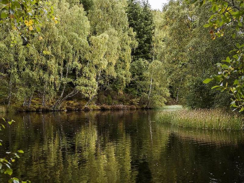 511BF987FD953577A8CAE46C0FF9D963