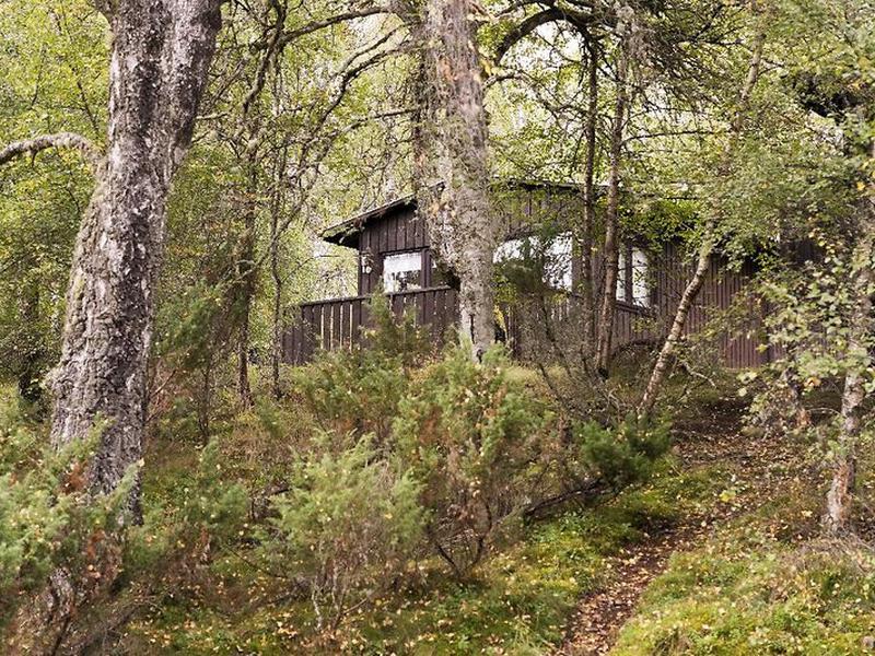 B389EE1AA0DF7F135D22B042460831EC