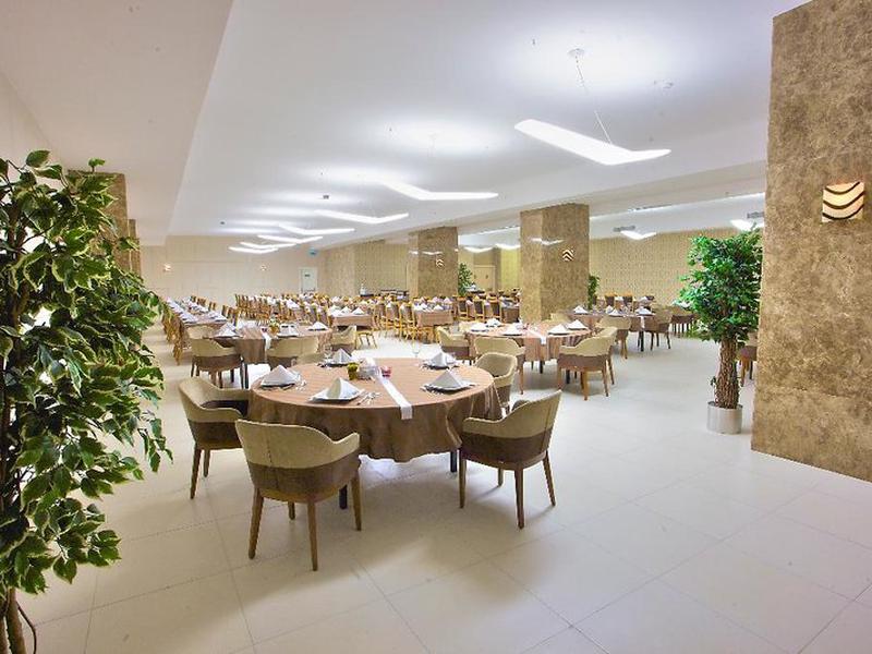 5B261672338C5FE29561AE04D49115A8