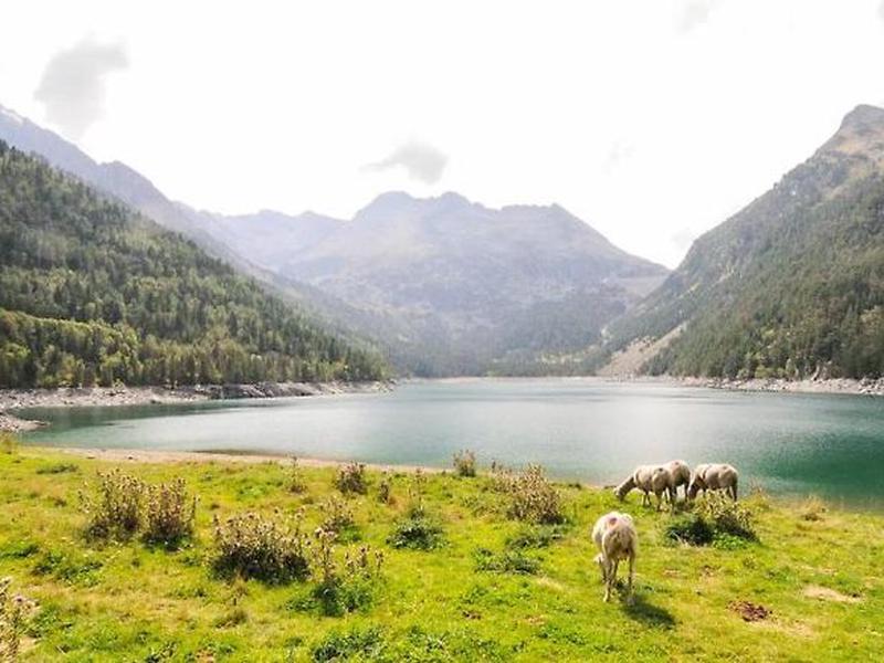 52ECCE9770757C86C5A45A1598B2980E