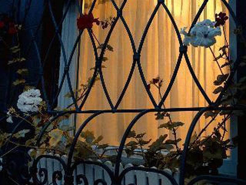 E651AB2ACE5D666808DD18E7E67491AF