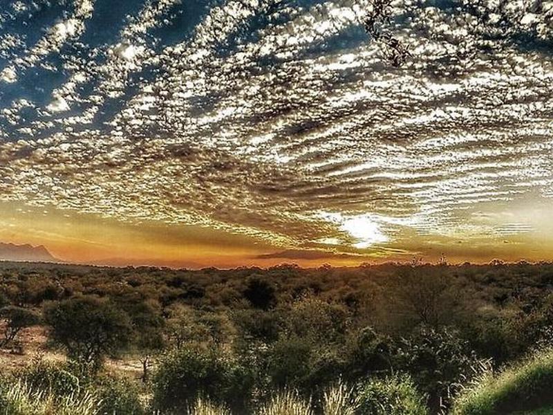 5CE93BEA32696D7E4699D108A42A1C0E