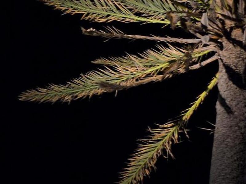 7317DCEF0F35BF060A8236EA1242BB27