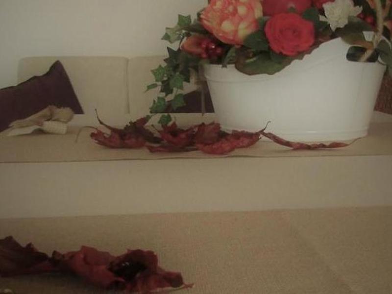 EC435DA266078F03E9928B0D2497BA7A