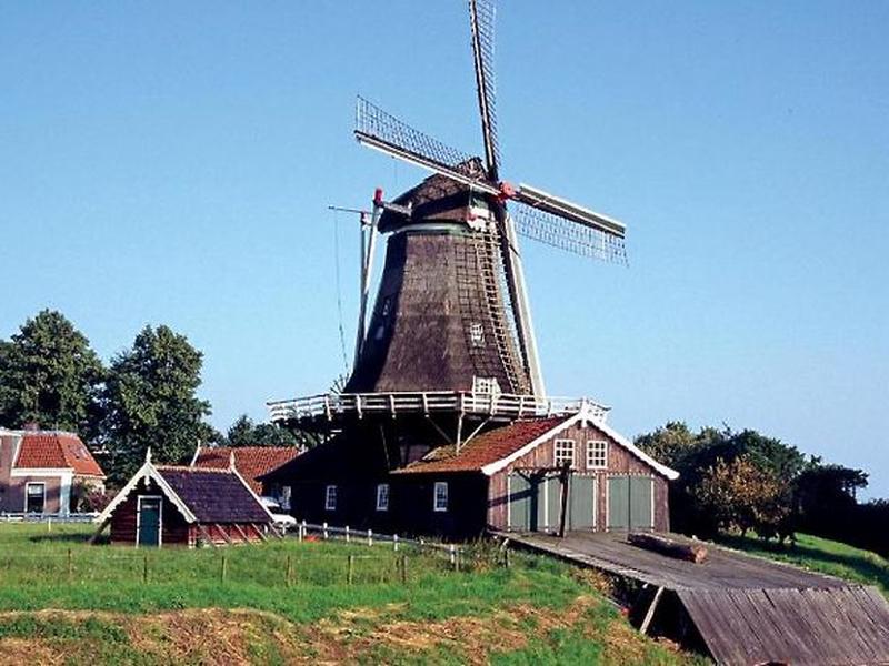 98A182CAF6E84E3F1F9E536E70F5D5D0