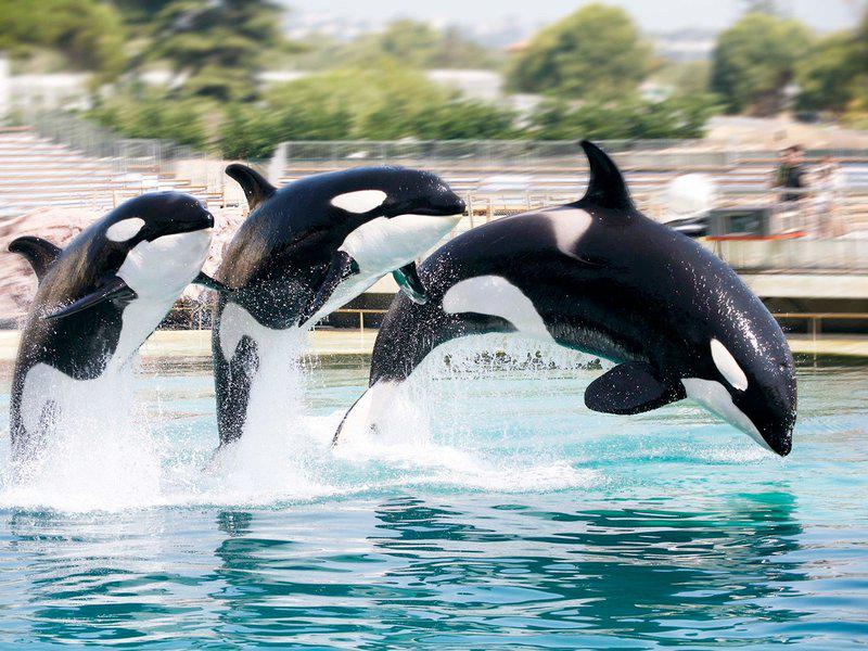 619D16FBEADEB4CE93EC637CDF1A0BF5