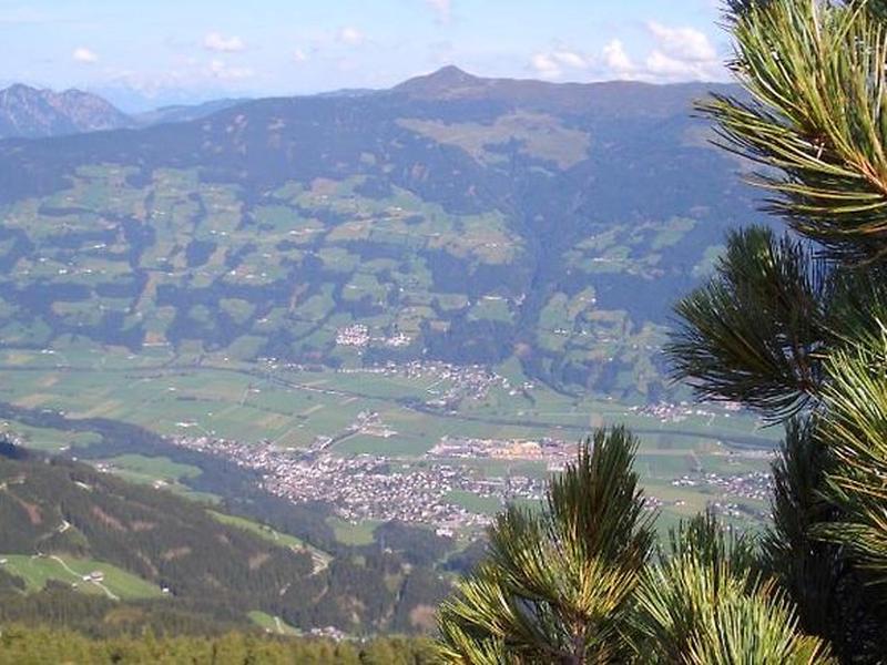 C78BBD913667CC66E00336091B3AF453