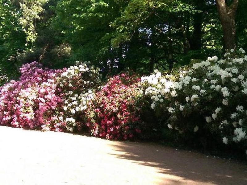 B50DFB6A9F1D16BD5F889C46130E0F4D