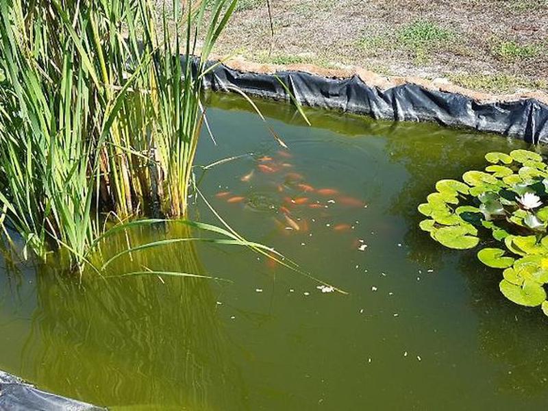 F2DFE08A1296324825F43C8C36007DC5