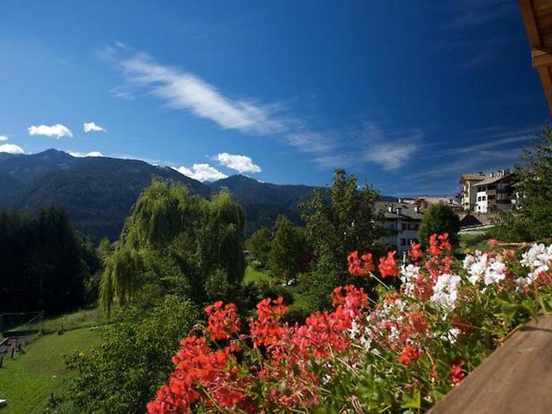 76D51209E9B41EA837D15B691DD566E9