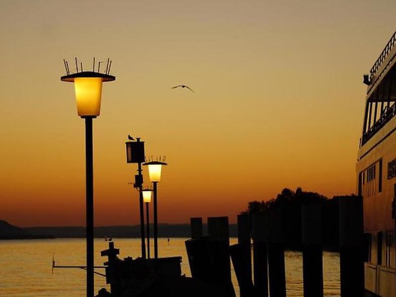 8CF19D5679103B4865F52B5F566212E9