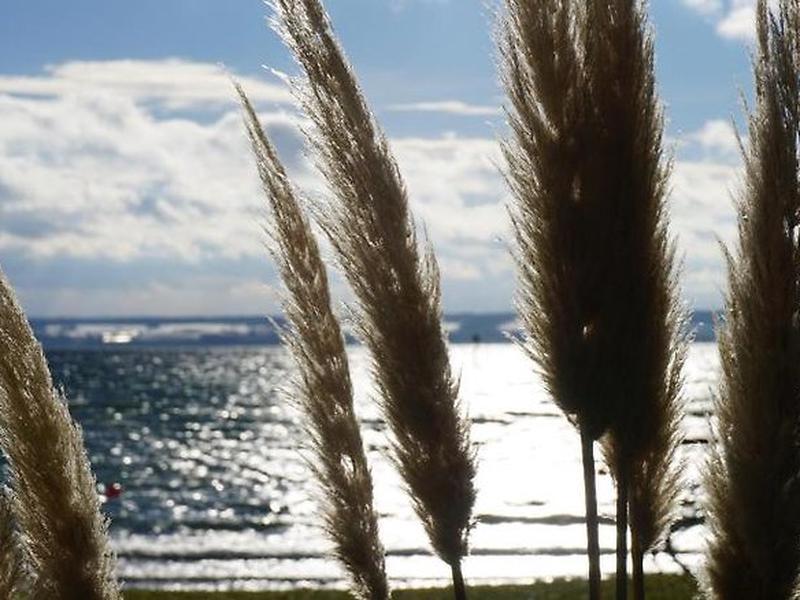 38A28A05AAB3EEFC964C82A50EB0A924