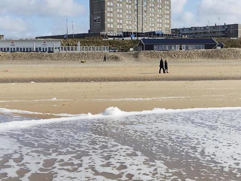 473EE8179547F1F82F9392FC55981B79