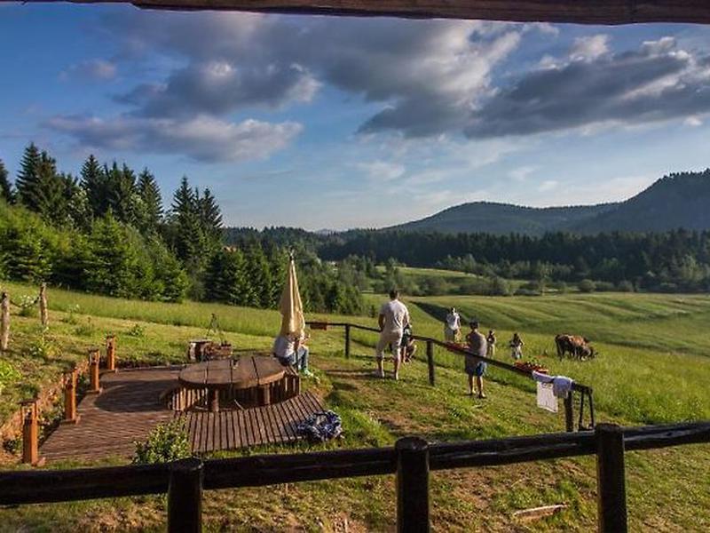 411C2000257F0A254DC4E6BF9FF93053