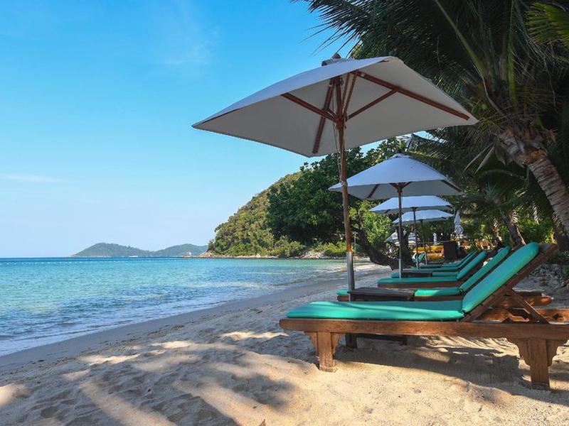 022482535243CBA538DFDE2B1A844734