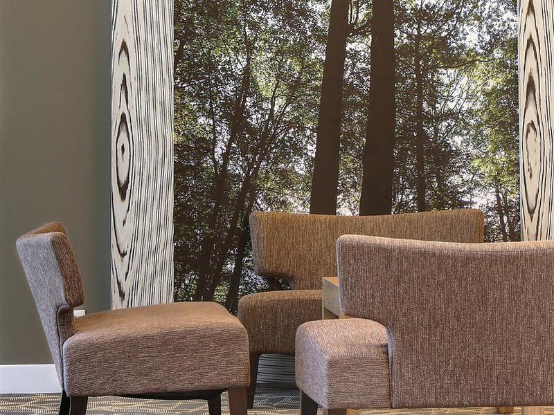 B6D32C7512D966F5D13B03ED1D6DC2E6