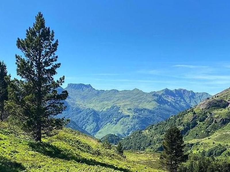 7CA778DEEECBA0BEE4D21AAA08B9DB17