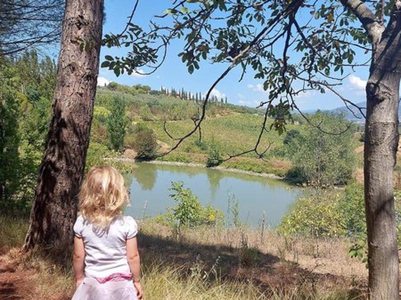 B59C007FABC988DE4C4AC26D1C39D415