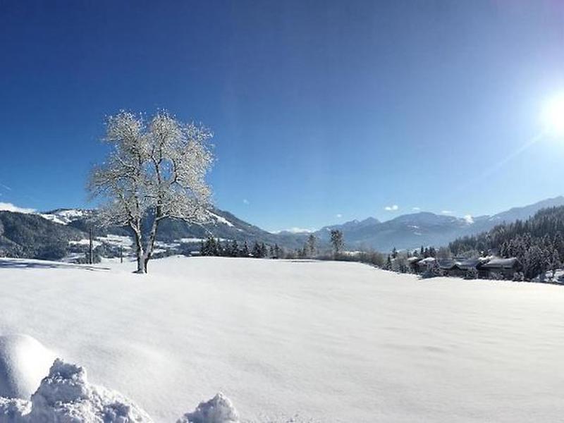 B0393EDFE56B6E0B71D646EA899E6F5F