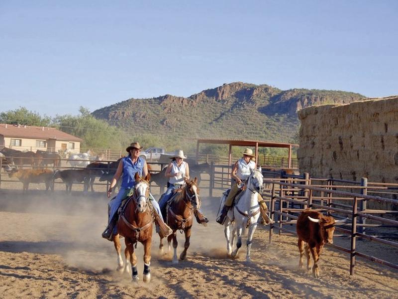 49DF9A39A15F83BDB7346327DC7FB92E