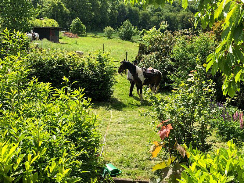 3646F007B04EC289FBD1ADE225692AFB