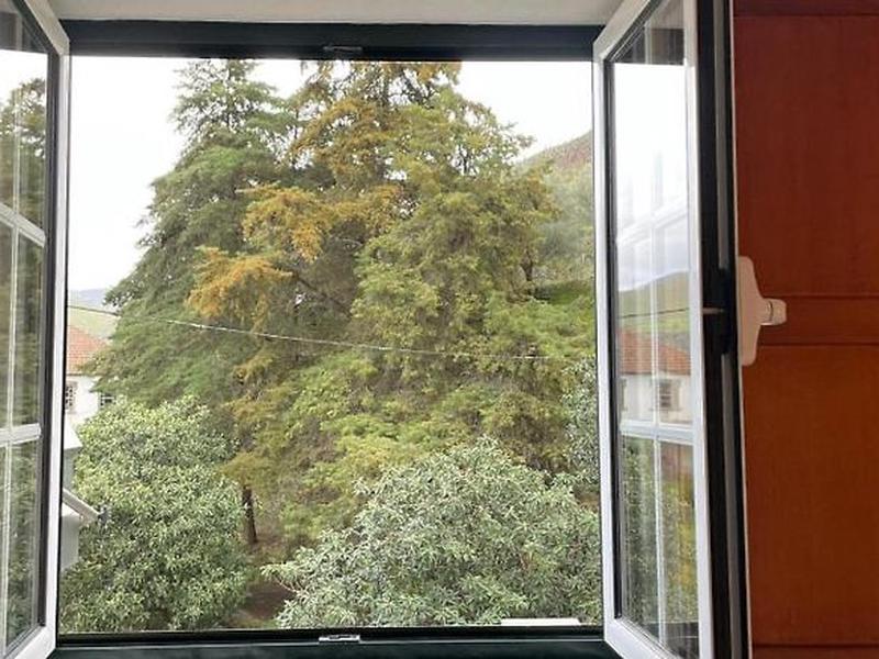 C2EE8FD38525E1872EA27A452C2E0FC7