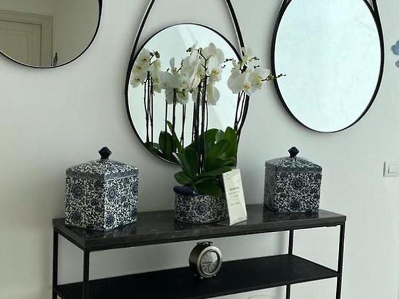 81AD2CDDF34813B1C9CB9B87284560D1