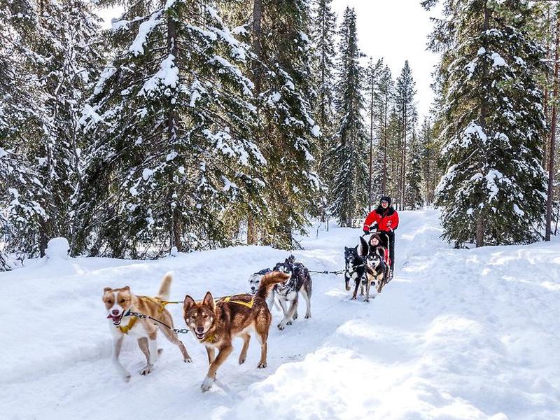 69B61ADDBD72EED078C938009A1B8BB4