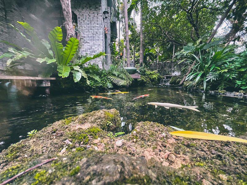 312886A095B5993B86D8168A54141FCD