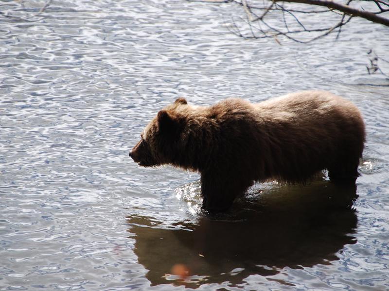 A55048BE78F1A62996668A8C7D64F388