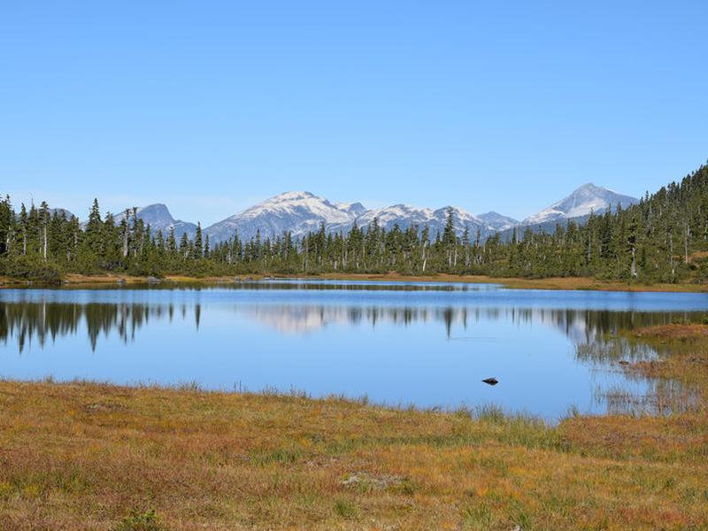 7C3BE7E958E819445A0DFEF8A641FDFA