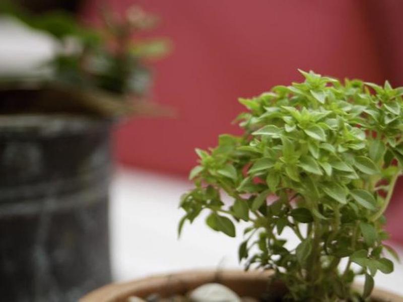 E01B599BD8DA0D10A36C1FD489994F1A