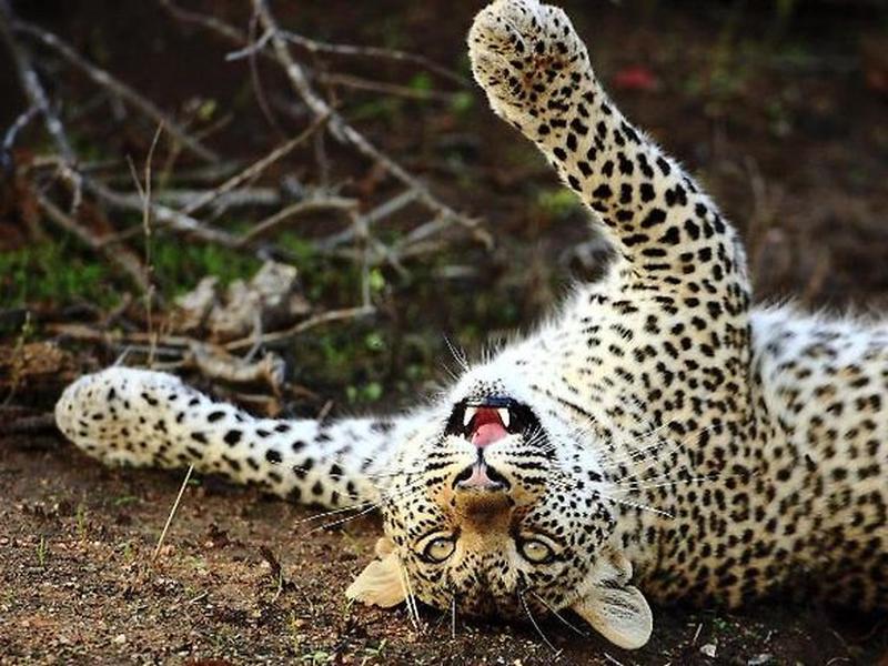 9C16FCFB24915A00F39A4DAB8317F8A4