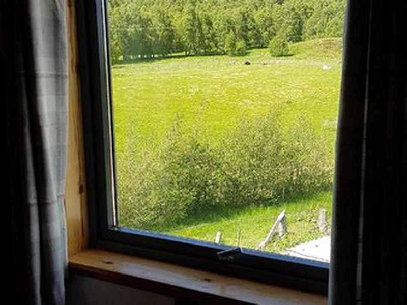 45D99ED33E04A919D8D6529D2737250E