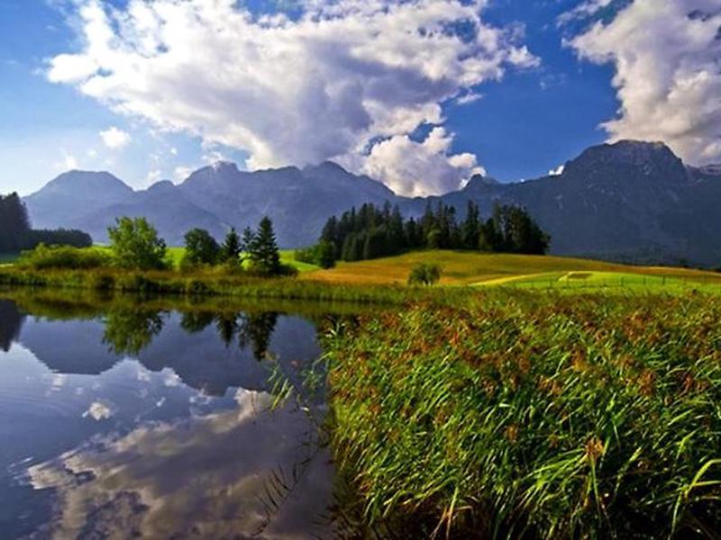 F7C517B32CEF45235A502CD03A836A83