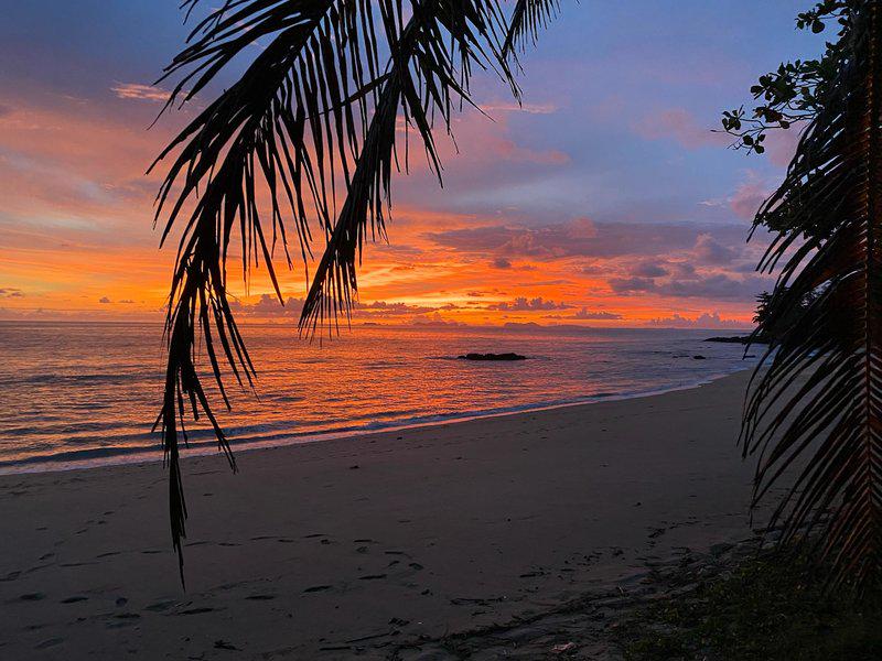 A30E6AD4317504B1C7DD0CBE52A822E8