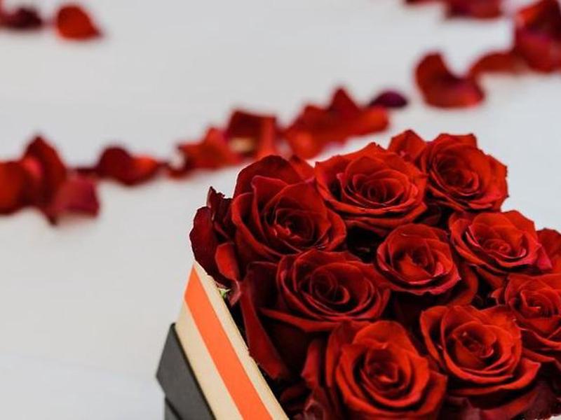 4287084DC244104EA88117169F6EF557