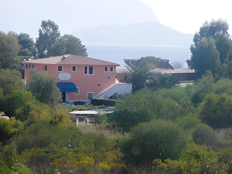 8D5EF98246443101C10FD8E8D791C443