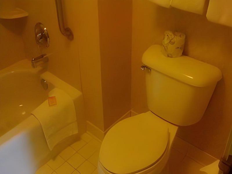 FC7901633ECC650A1502028F46700A5F