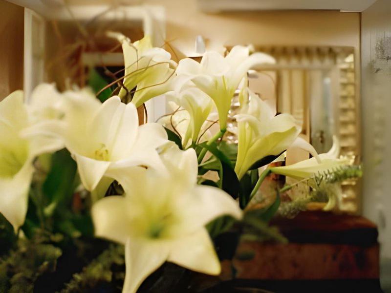 D2FA00AFCB3603B2872339721ACA2279