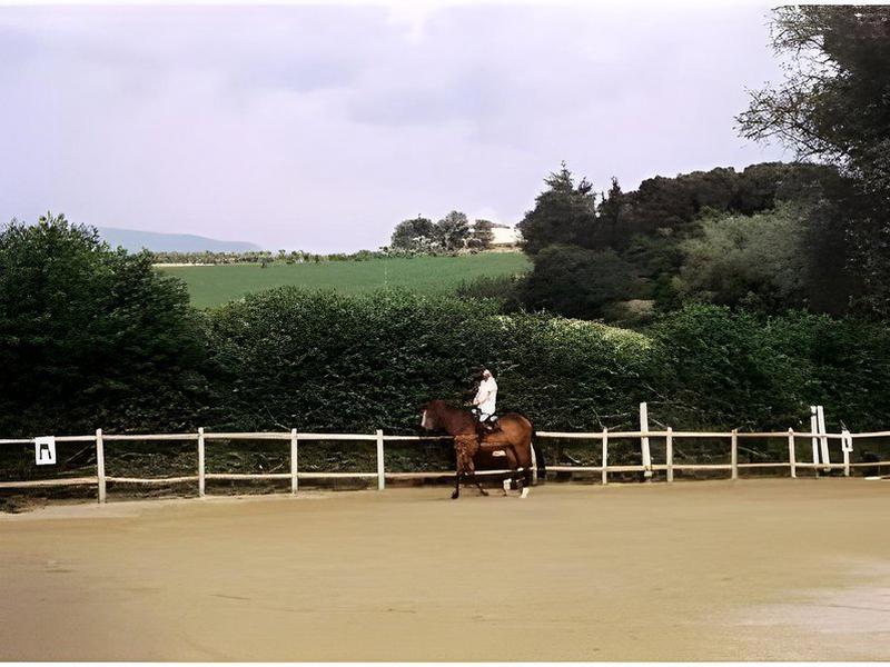 7850EC1CD0173A0A504CCE525817920C