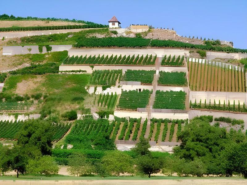 1CD04E4B9F1E52E6D6BDB2CFC92805C2