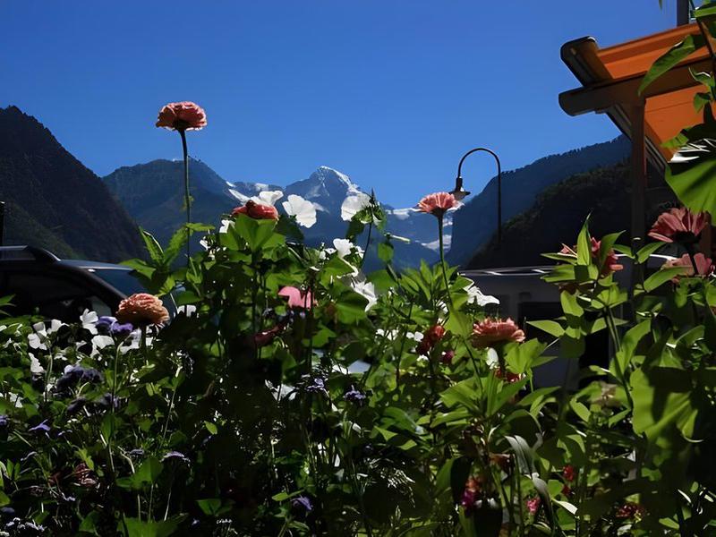 DCE8EDA4684DBF8C9F5FB7E7ED6B2394