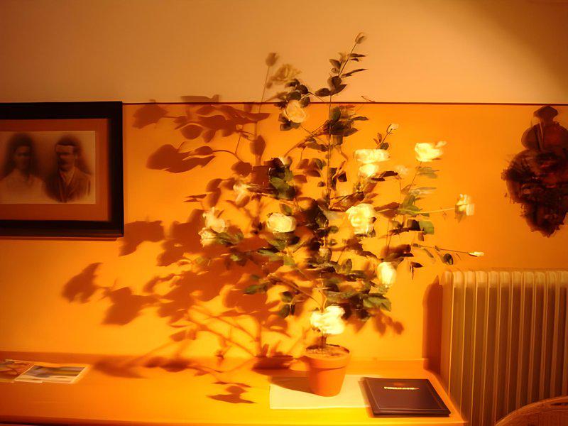 1B2CD1A1F9A29C952C7CF7FB15C7649E