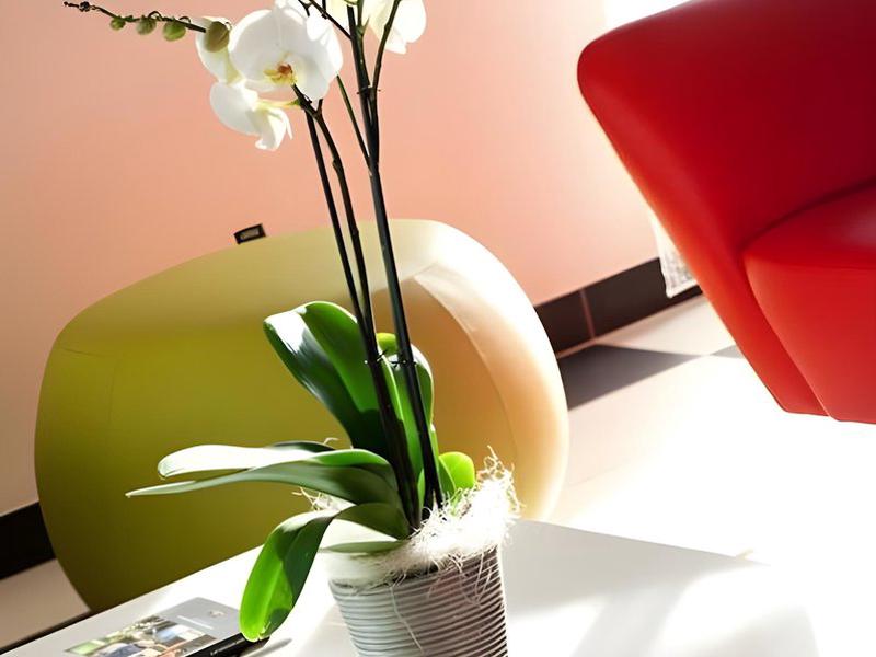 BAFE11C897146EB1166650E5DE8E92E2